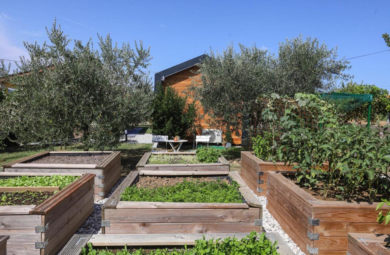 Healthy House Glamping Hotel Koper Exterior photo